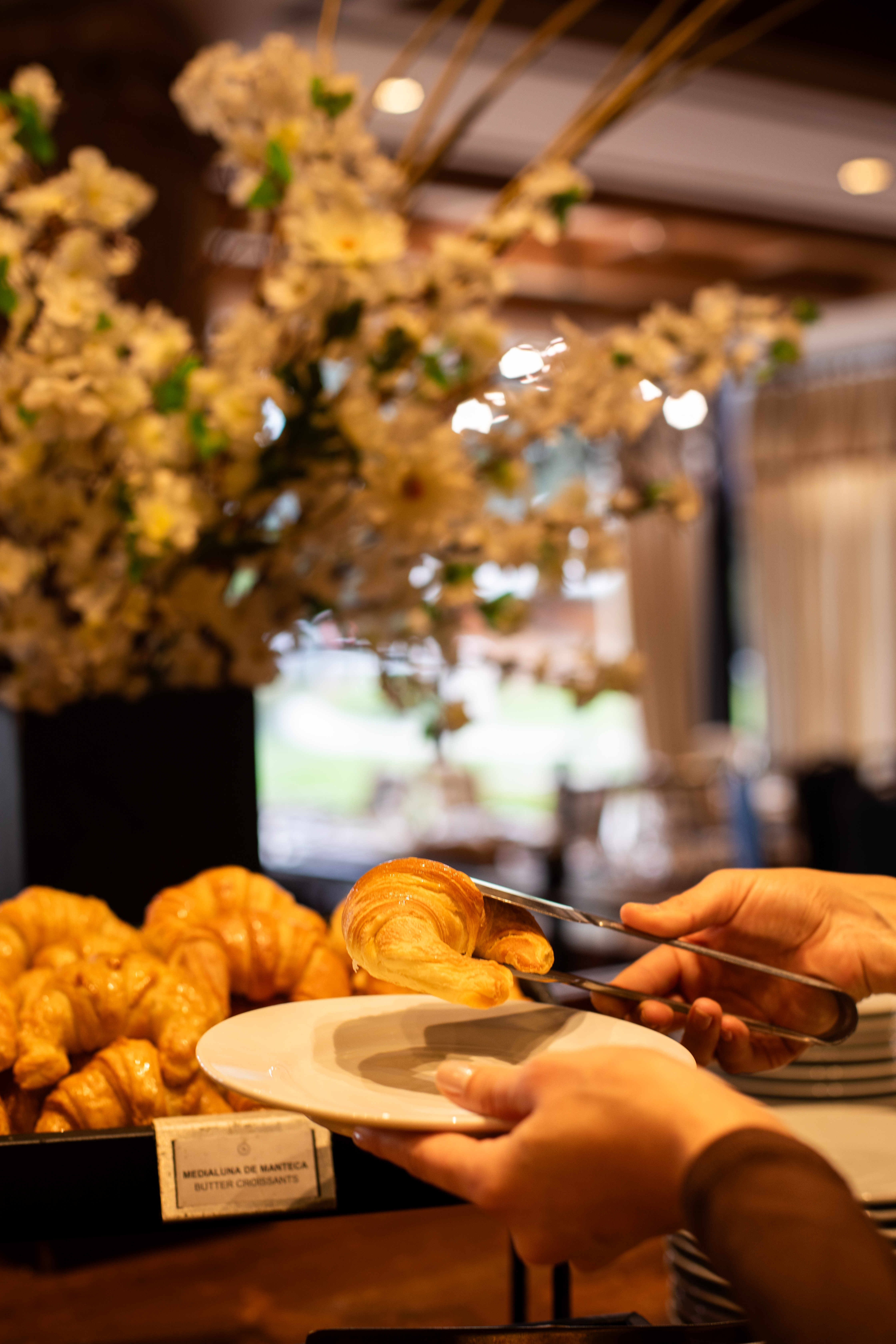 Gastronomía Sheraton Pilar